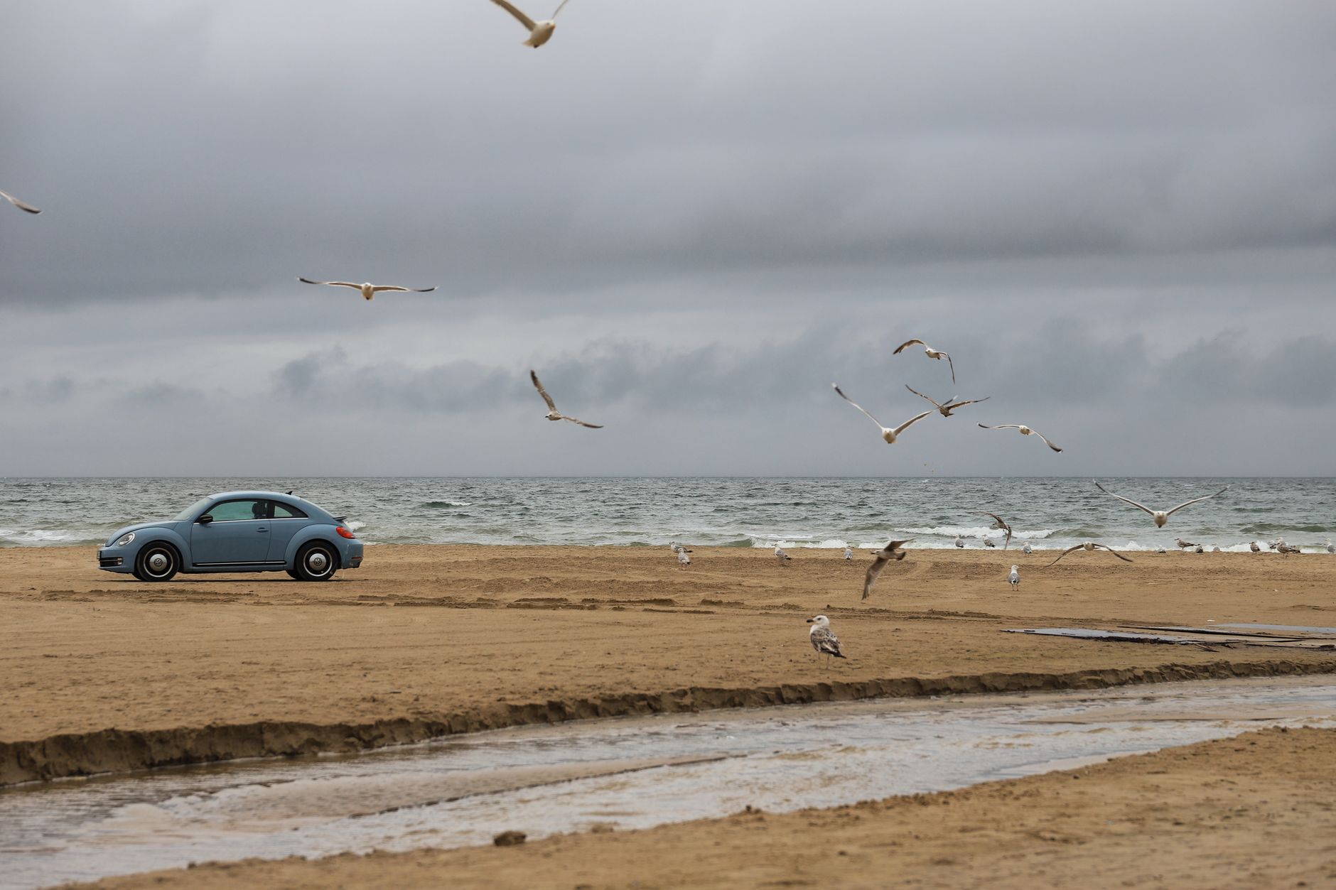 A blue VW Beetle parked on a Danish beach with seagulls flying and cloudy skies above.