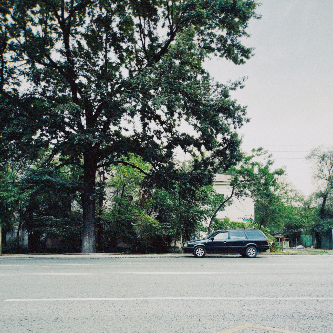 Classic station wagon parked on a quiet street in Almaty, Kazakhstan, surrounded by lush greenery.